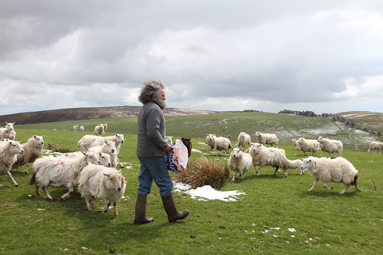 Farmer, Sheep, Hill-top, Hill, Sheep, Wind Farm, A483, Llandewi.  Llanbadan. Alternative, Power, Energy, Electricity, Renewable.