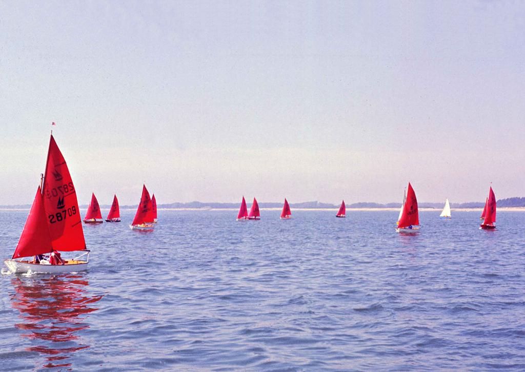 Mirror Dingies racing on the Solent in Cowes Week