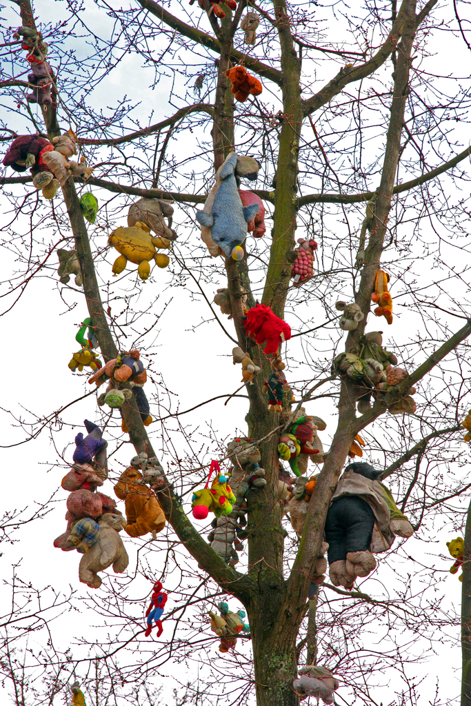 Children's toys tied to tree in Amsterdam to ward-off evil spirits 