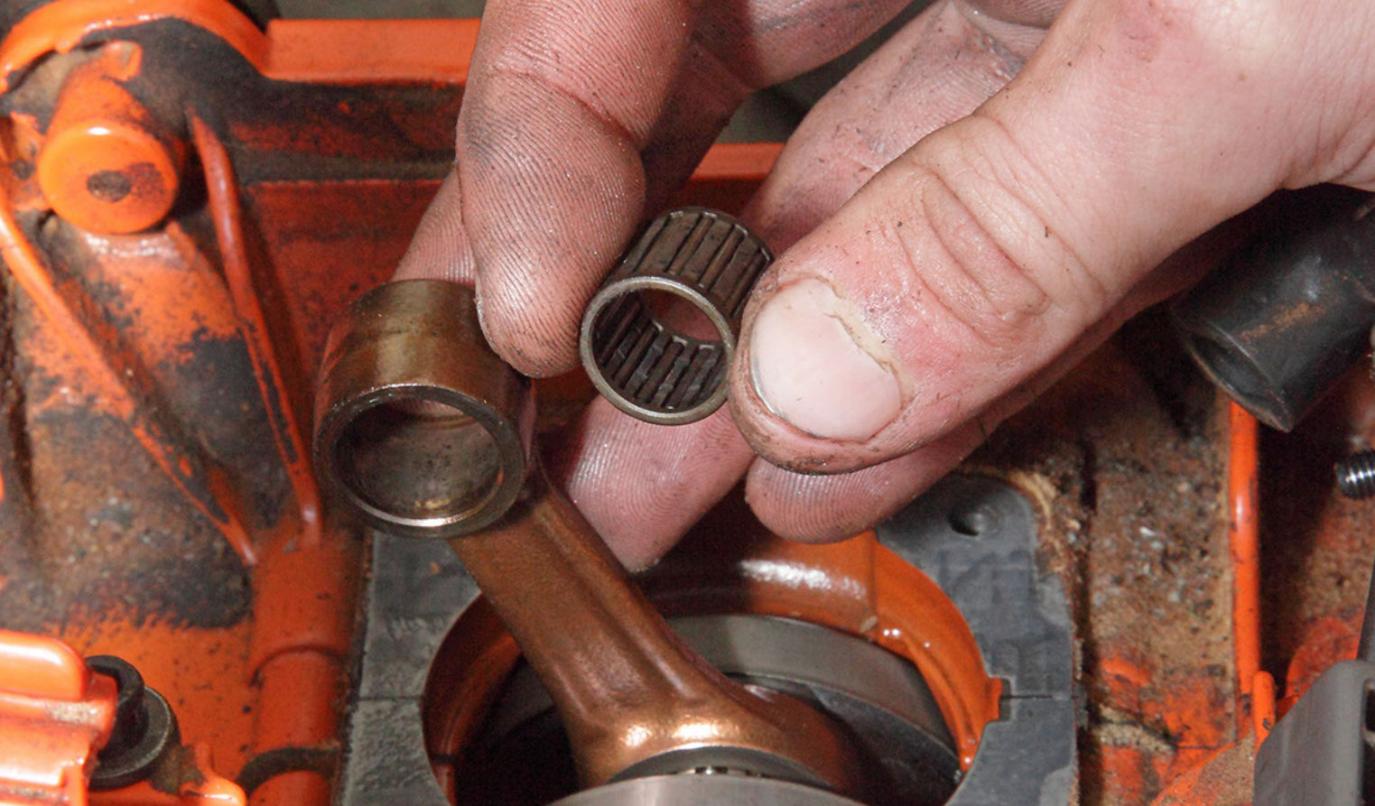 Advertising shoot for chainsaw and small-machinery maintenance company.