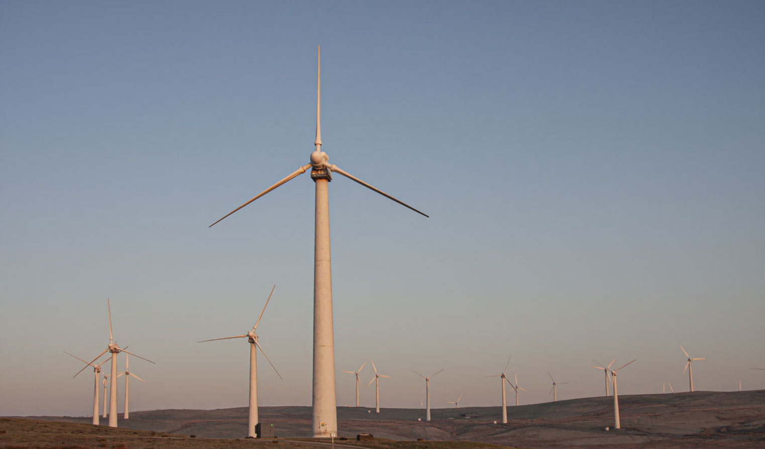 Windturbines at dawn.&nbsp; Taken for Energy company.