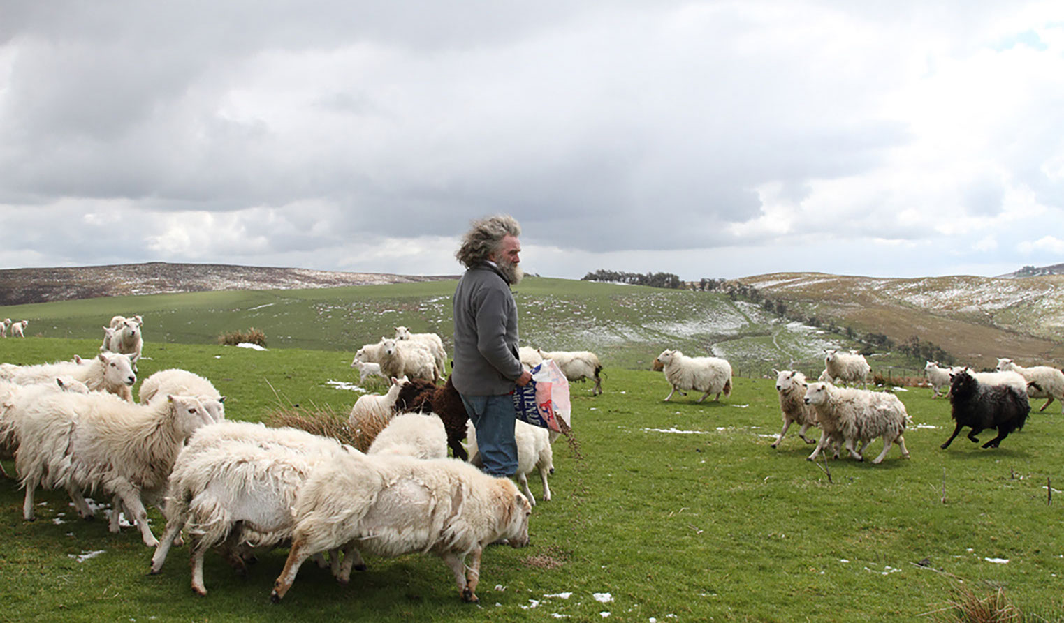 PR Shoot for Green Energy company.